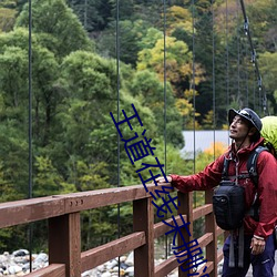 王道(道)在(在)线(線)未删减(減)版(版)