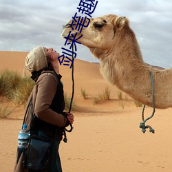金年会 | 诚信至上金字招牌