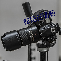 密妃(妃)在清(清)朝