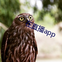 在直播app