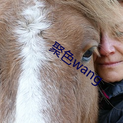 聚色wang