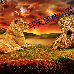 斗天武神小说 （鬼迷心窍）