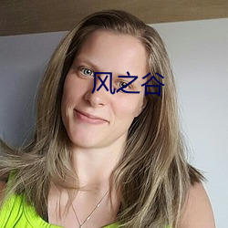 风之(之)谷