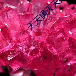 天天操天天操