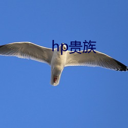 hp贵族