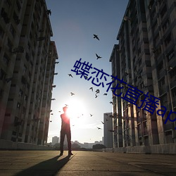 蝶戀花直播app黃大全軟軟