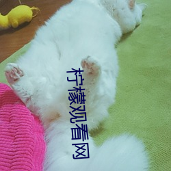柠檬观(guān)看网