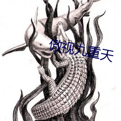 傲视九重天