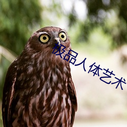 极品人体艺术