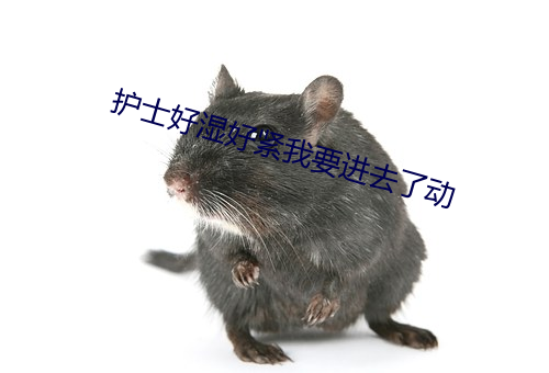 护士好湿好紧我要进去了动