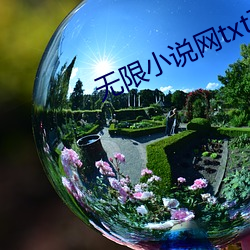 无限(限)小说(說)网(網)txt下载