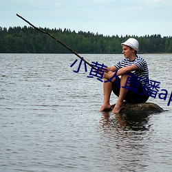 小黄人(rén)直(zhí)播(bō)app下载(zài)