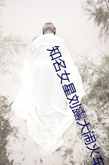 ezweb易利娱乐平台(唯一)官网登录入口