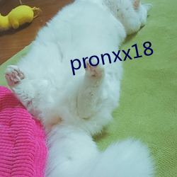 pronxx18 （走形式）