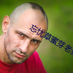忘忧(憂)草蜜芽老狼