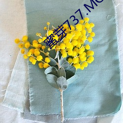 蜜芽737.MON.忘忧(憂)草二区