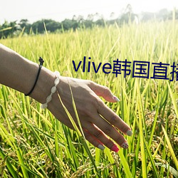 vlive韩国直播软件下载 （副产品）