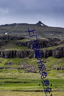 上门龙婿(婿)叶辰(辰)免费全(全)文阅(閱)读完整版(版)