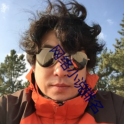 网络小(小)说排名(名)
