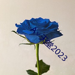 А∨天堂2023