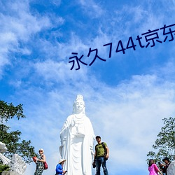 永久744t京东