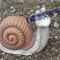 《婚恋(戀)交(交)友平台