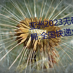 亚洲2023无矿砖码砖区:国家邮政(zhèng)局:全国快递业务量突破400