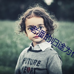 老潘的歸途爲什麽在平邑