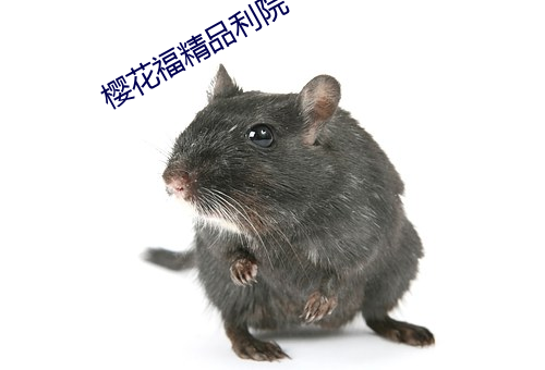 樱花福(福)精品利院