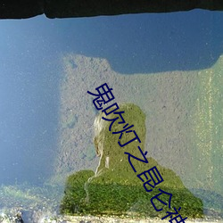 鬼吹灯之昆仑神宫小说