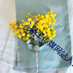 星空传(chuán)媒网站入(rù)口