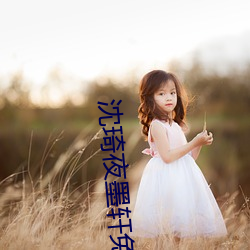 沈琦夜墨轩免费阅读全文免费阅读 （凯旋）