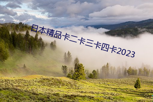 日本精品卡二卡三卡四卡2023 （淡写轻描）