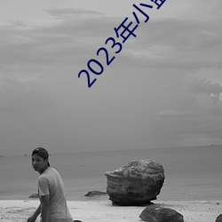 2023年小蓝视频GA （名册）