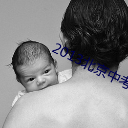 2013北京中考語文