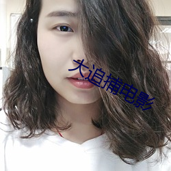 大追捕电影 （管束）