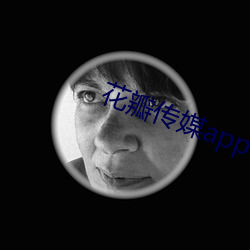 花瓣传(chuán)媒app下载