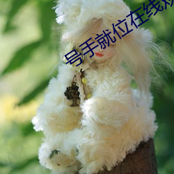 金年会 | 诚信至上金字招牌
