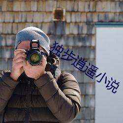 独步逍(xiāo)遥小说