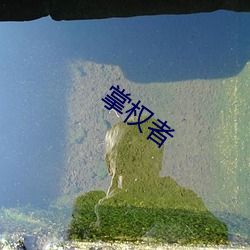 掌权者