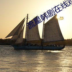 流星韩剧在线观看什么时候更新 （语体文）