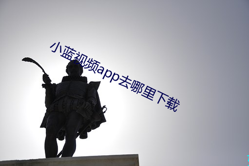 小蓝视频app去哪里下(xià)载