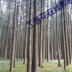 丁香花在線影院觀看在線播放
