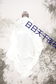日日天干夜夜 （银杏）