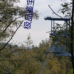 极品鉴宝师 （福不盈眦）