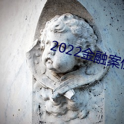 2022金ڰ例分析 ģ