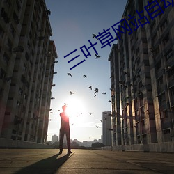 三(三)叶草网(網)站(站)自动跳(跳)转