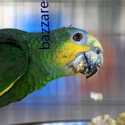 bazzares-3x