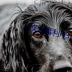 成人福利H3D动漫区