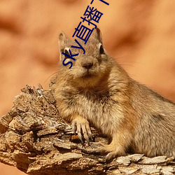 sky直播下载安卓